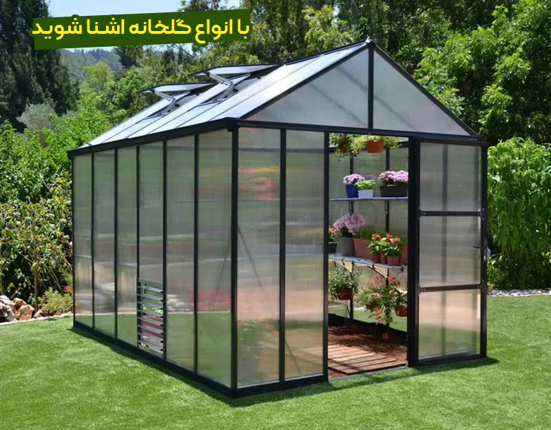 نور مورد نیاز گیاهان