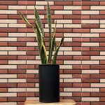 سانسوریا شمشیری ابلق سطل 7