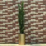 افوربیا تریگونا سبز چند شاخه