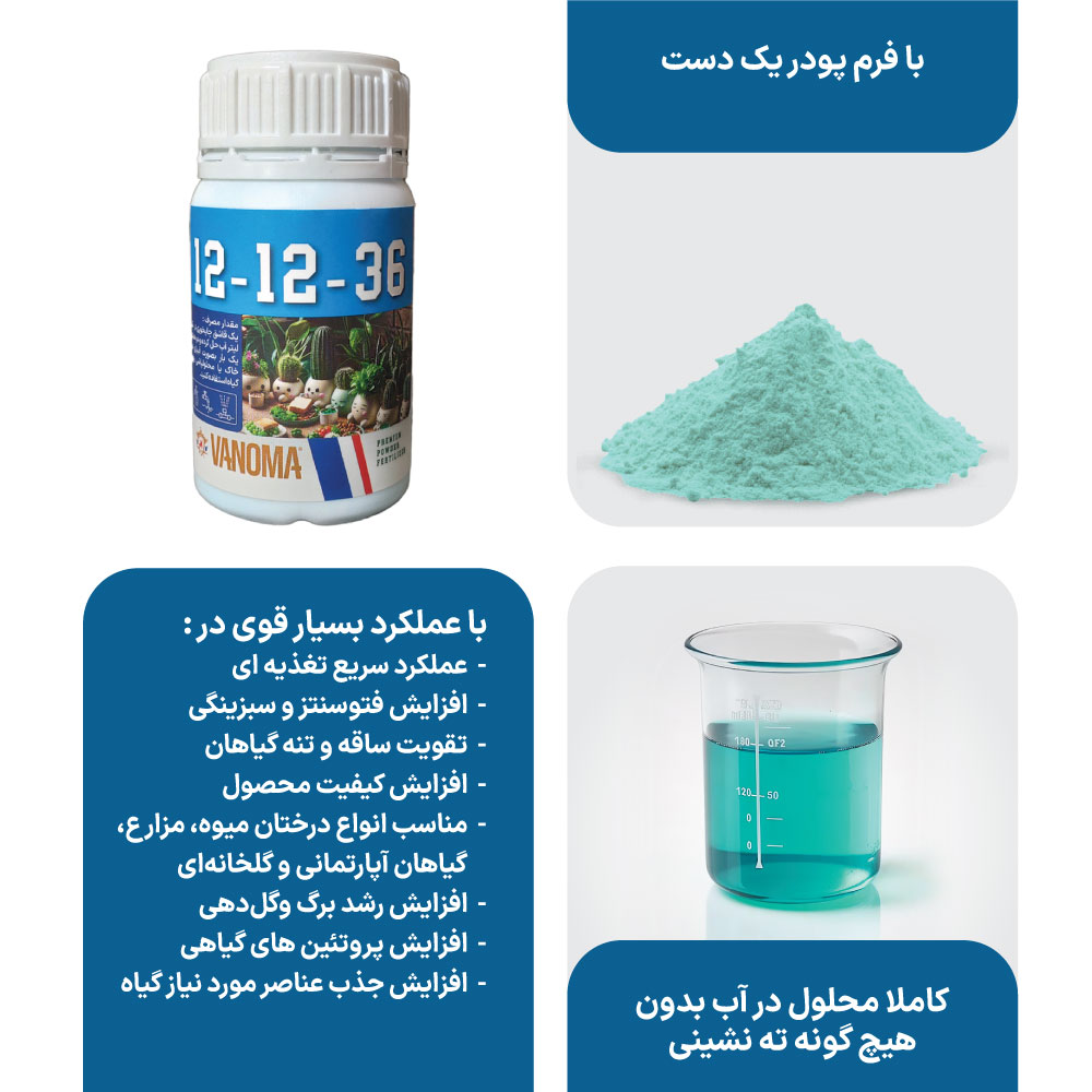 بهترین کود برای گیاهان آپارتمانی